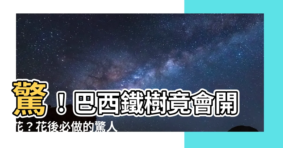 【巴西鐵樹開花後如何處理】驚！巴西鐵樹竟會開花？花後必做的驚人處理方式大公開！