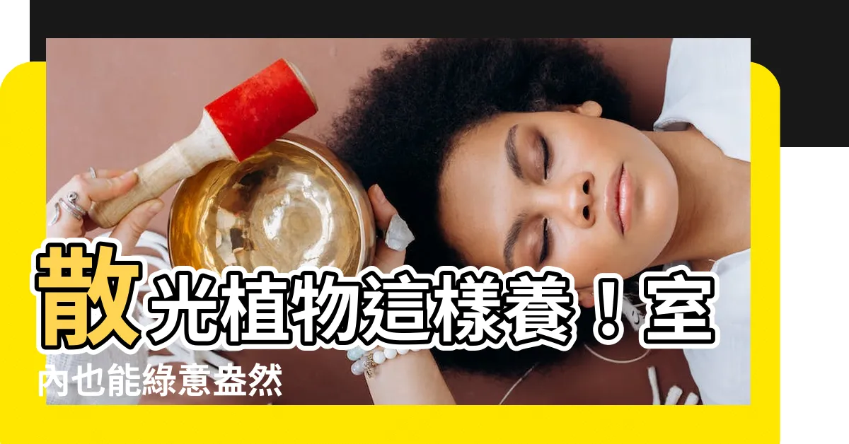 【散光 植物】散光植物這樣養！室內也能綠意盎然