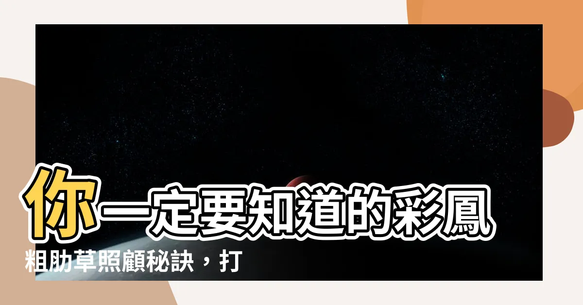 【彩鳳粗肋草照顧】你一定要知道的彩鳳粗肋草照顧秘訣，打造室內綠意天堂