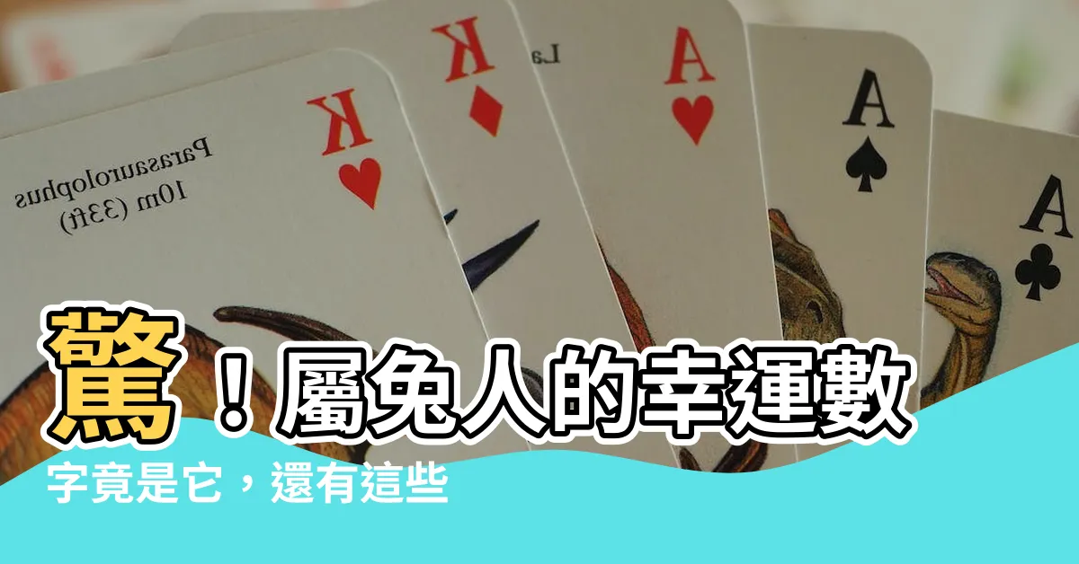 【兔幸運數字】驚！屬兔人的幸運數字竟是它，還有這些幸運徵兆，你中了幾個？