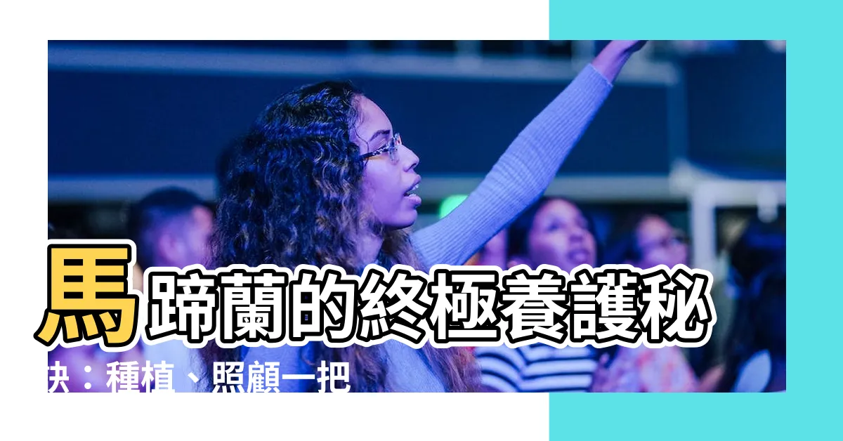 【馬蹄蘭 種植】馬蹄蘭的終極養護秘訣：種植、照顧一把罩！