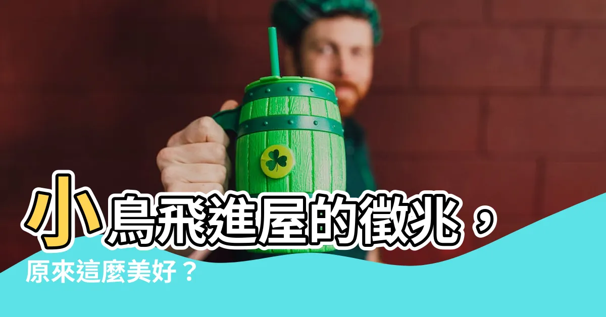 【小鳥進屋】小鳥飛進屋的徵兆，原來這麼美好？