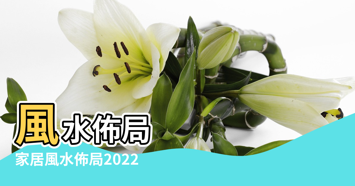 【家宅風水局】風水佈局 |家居風水佈局2022 |家居風水認識 |