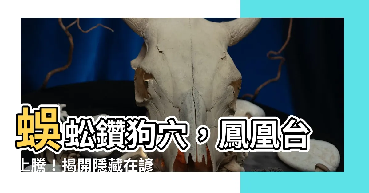 【蜈蚣走入狗蟻岫】蜈蚣鑽狗穴，鳳凰台上騰！揭開隱藏在諺語中的歷史密碼