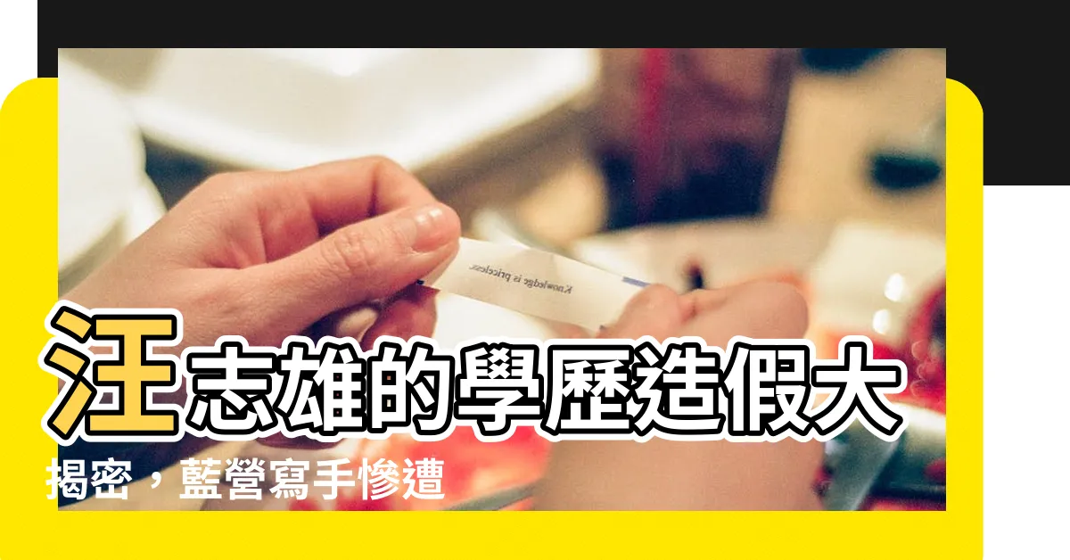 【汪志雄學歷】汪志雄的學歷造假大揭密，藍營寫手慘遭打臉！