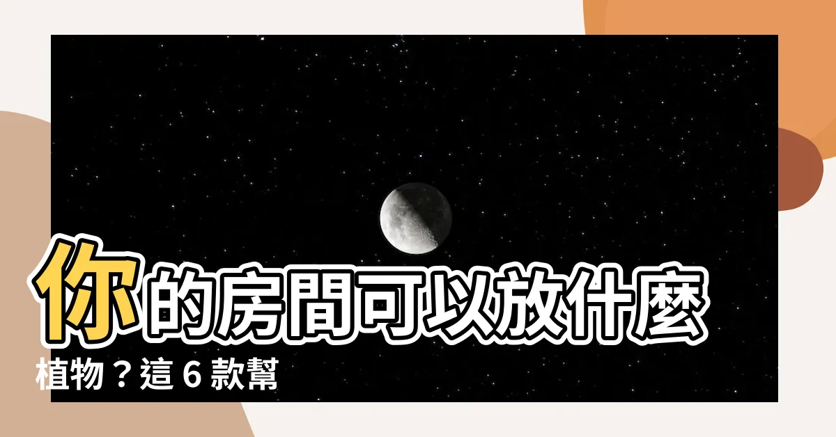【房間可以放什麼】你的房間可以放什麼植物？這 6 款幫你淨化空氣、提升風水