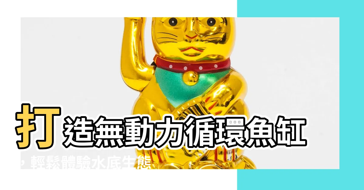 【無動力水循環魚缸】打造無動力循環魚缸，輕鬆體驗水底生態之美