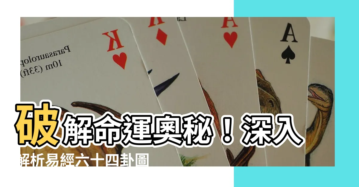 【易經卦圖】破解命運奧秘！深入解析易經六十四卦圖，一窺你的前世今生