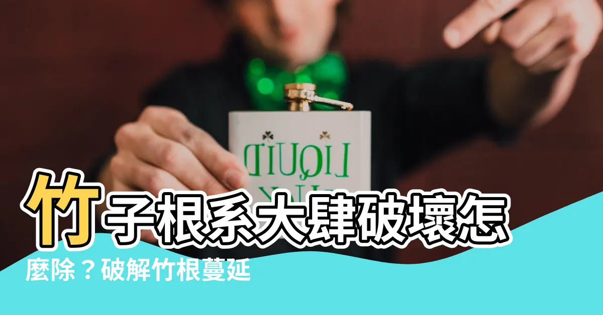 【竹子根系】竹子根系大肆破壞怎麼除？破解竹根蔓延、破壞農田的大秘密！