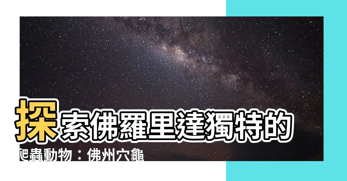 【佛州穴龜】探索佛羅裏達獨特的爬蟲動物：佛州穴龜