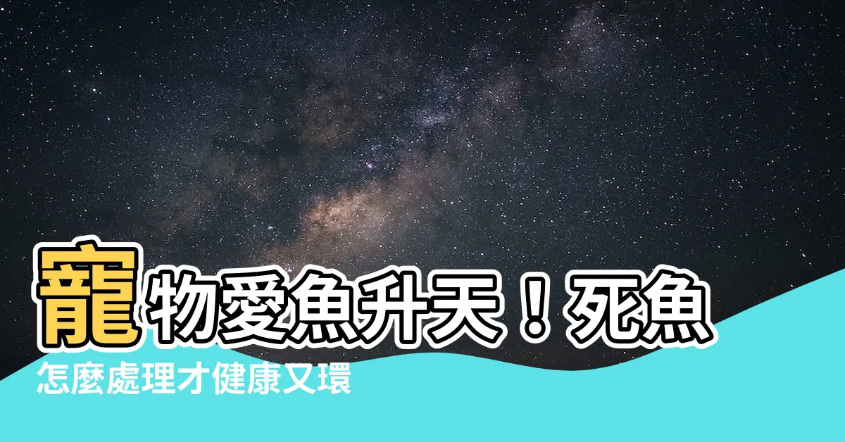 【死魚怎麼處理】寵物愛魚昇天！死魚怎麼處理才健康又環保？