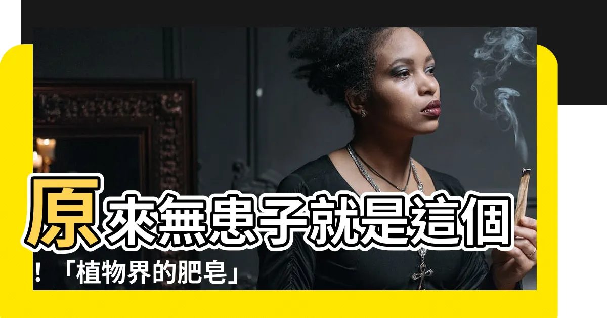 【無患子是什麼】原來無患子就是這個！「植物界的肥皂」揭密它神奇的用途
