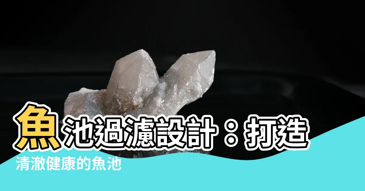 【魚池過濾設計】魚池過濾設計：打造清澈健康的魚池