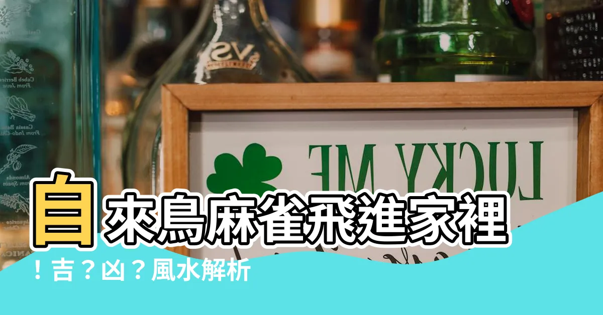 【自來鳥麻雀】自來鳥麻雀飛進家裡！吉？兇？風水解析讓你一切都搞掂！