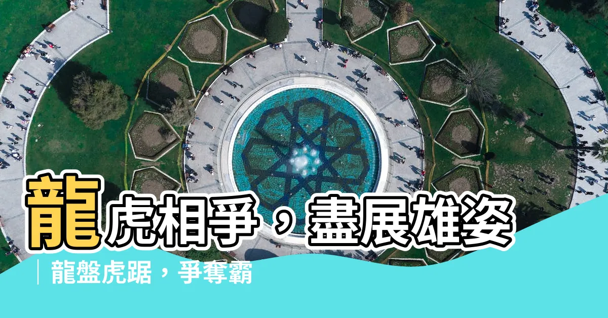 【龍盤虎踞】龍虎相爭，盡展雄姿｜龍盤虎踞，爭奪霸權