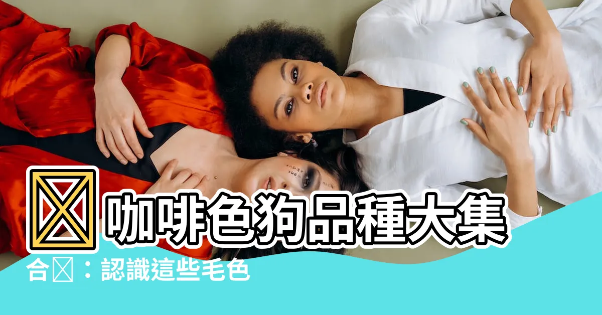 【咖啡色狗品種】🤎咖啡色狗品種大集合🤎：認識這些毛色迷人的狗狗們