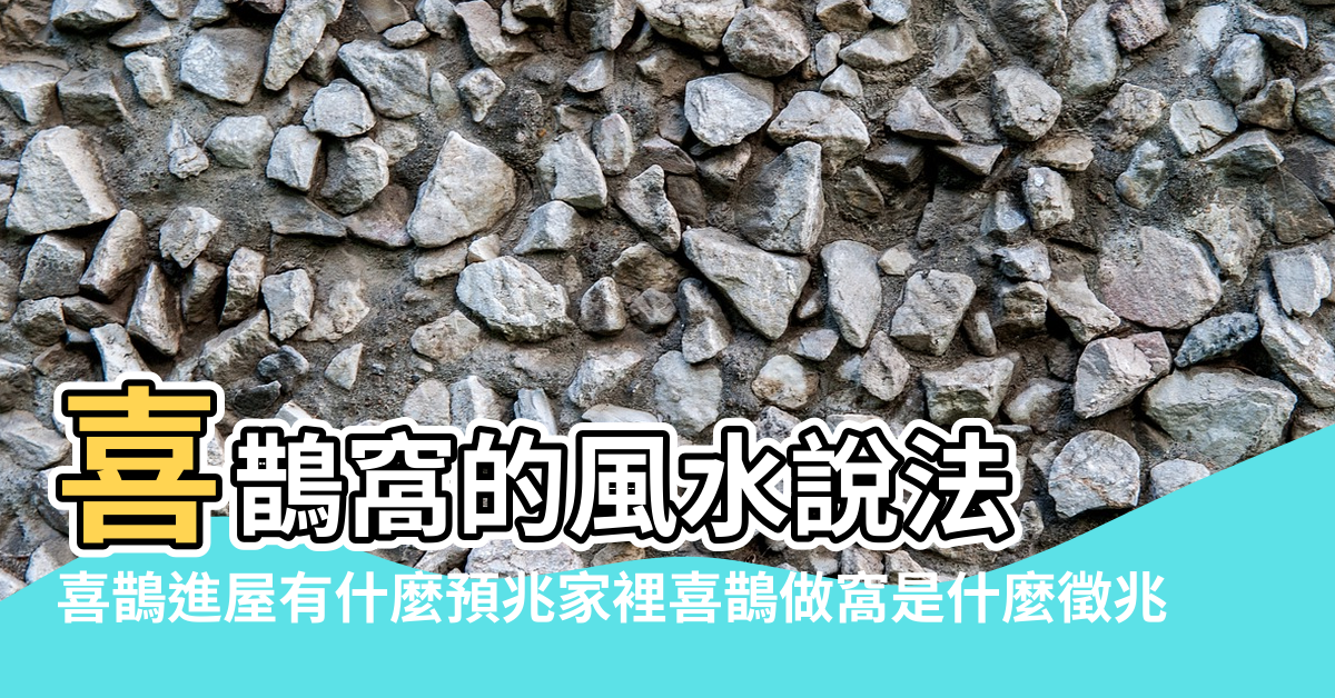 【喜鵲做窩風水】喜鵲窩的風水說法 |喜鵲進屋有什麼預兆家裡喜鵲做窩是什麼徵兆 |搜索結果 |
