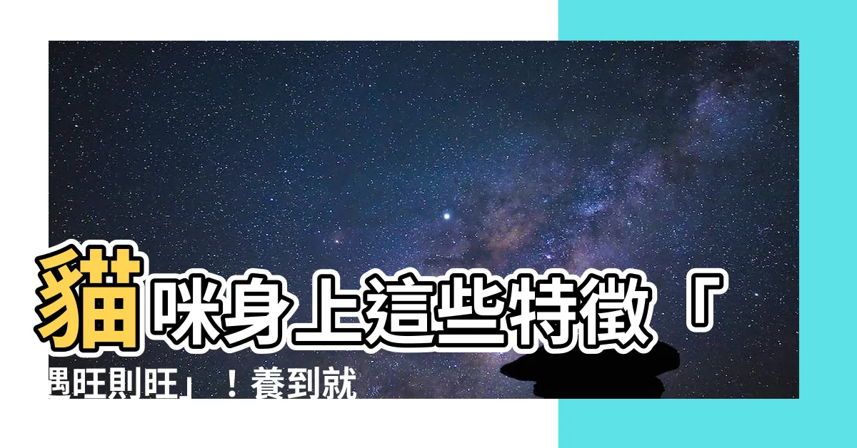 【貓帶財】貓咪身上這些特徵「遇旺則旺」！養到就是「貓帶財」賺不完