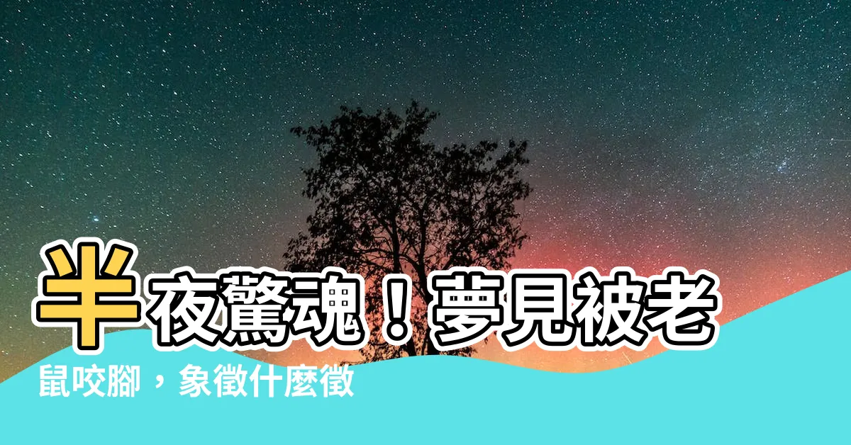 【夢見被老鼠咬腳】半夜驚魂！夢見被老鼠咬腳，象徵什麼徵兆？