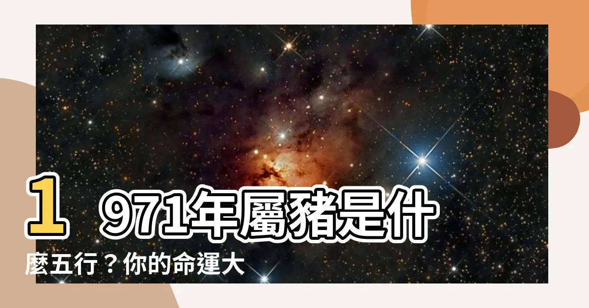【1971 豬 五行】1971年屬豬是什麼五行？你的命運大解析！