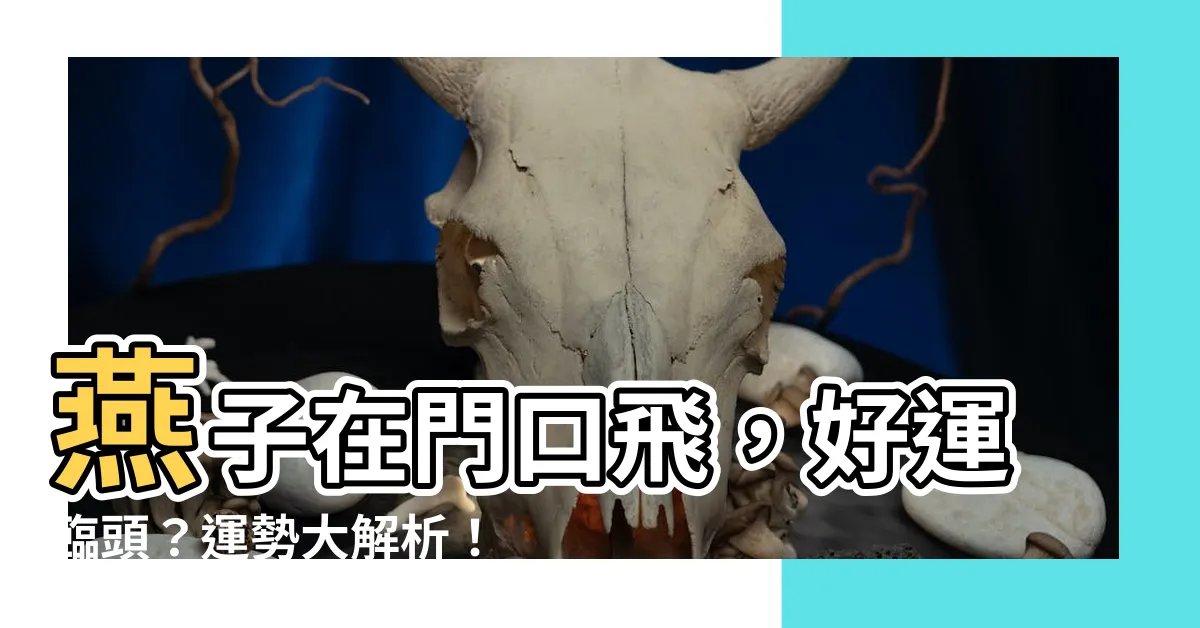 【燕子在門口飛】燕子在門口飛，好運臨頭？運勢大解析！