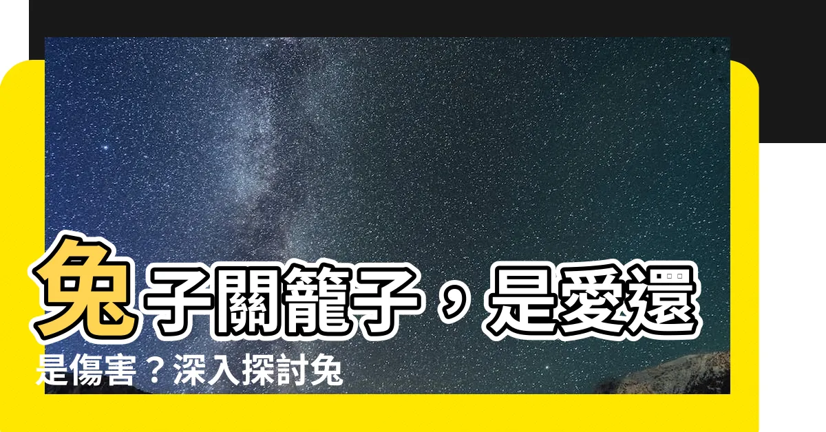 【兔子關籠子】兔子關籠子，是愛還是傷害？深入探討兔兔的居住環境