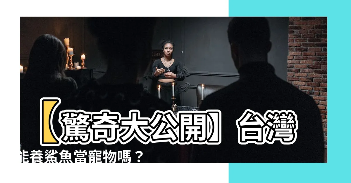 【台灣可以養鯊魚嗎】【驚奇大公開】台灣能養鯊魚當寵物嗎？飼育條件一次看！