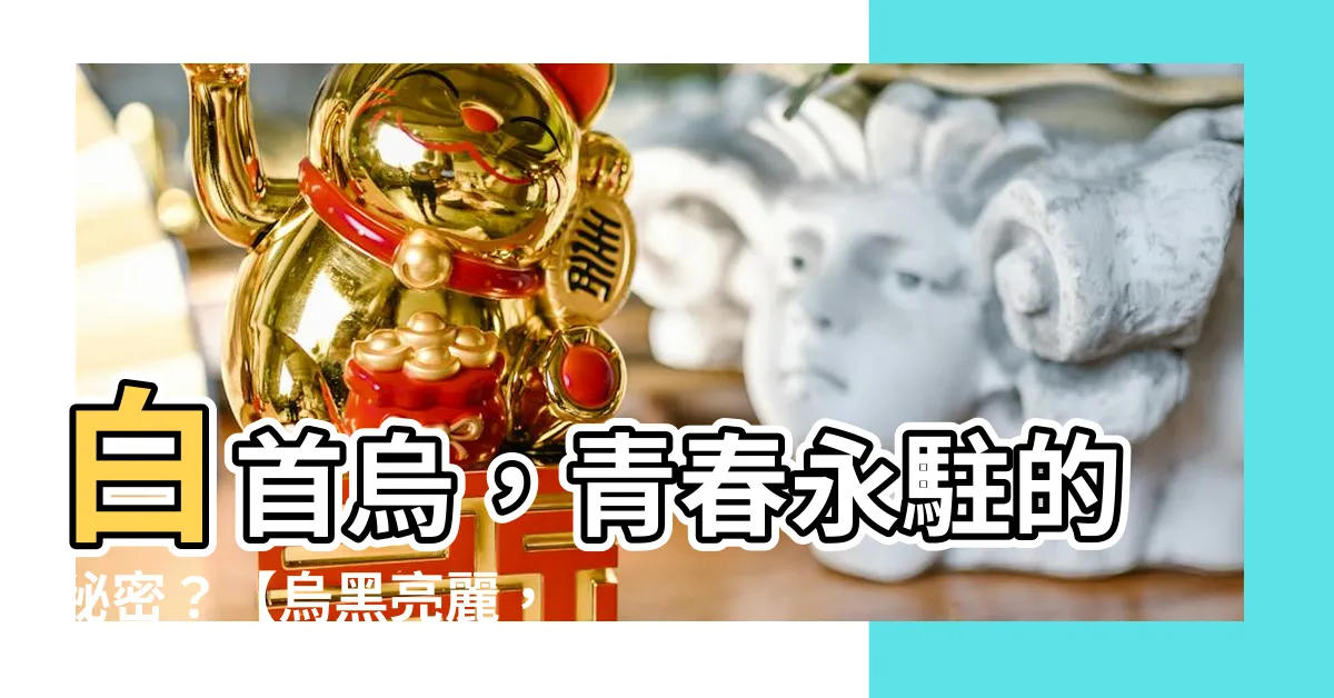 【白首烏】白首烏，青春永駐的秘密？【烏黑亮麗，歲月不留痕】