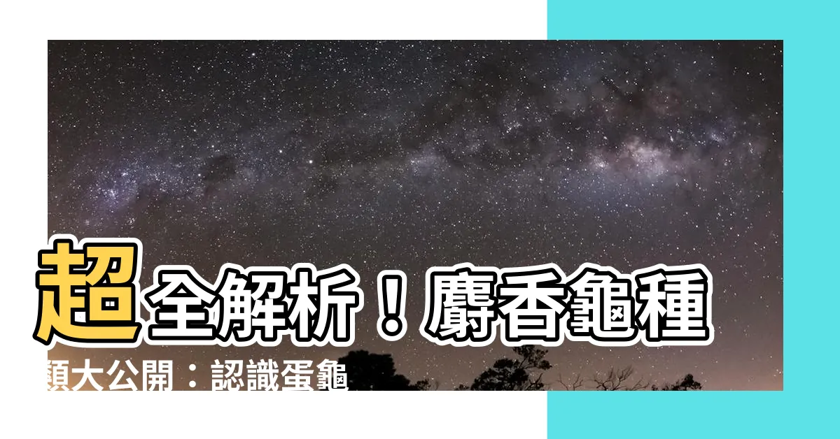 【麝香龜種類】超全解析！麝香龜種類大公開：認識蛋龜、麝香龜屬和小麝香龜屬