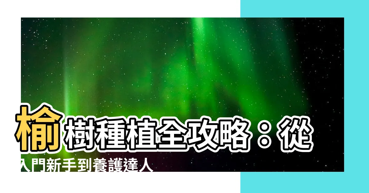 【榆樹種植】榆樹種植全攻略：從入門新手到養護達人！