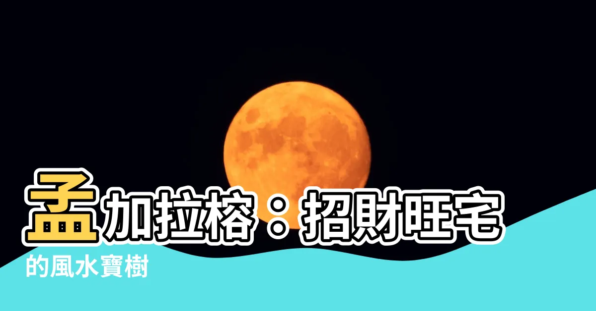 【孟加拉榕風水】孟加拉榕：招財旺宅的風水寶樹
