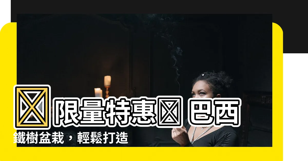 【巴西鐵樹盆栽】✨限量特惠✨ 巴西鐵樹盆栽，輕鬆打造室內綠意！