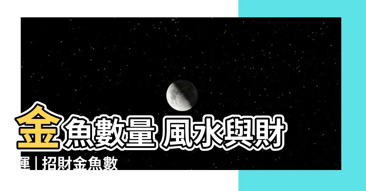【金魚數量 風水】金魚數量 風水與財運 | 招財金魚數量與寓意
