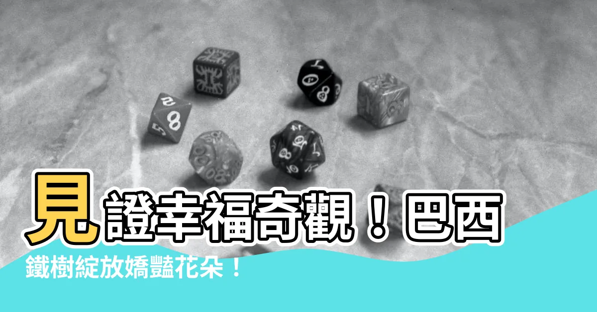 【巴西鐵樹開花】見證幸福奇觀！巴西鐵樹綻放嬌豔花朵！