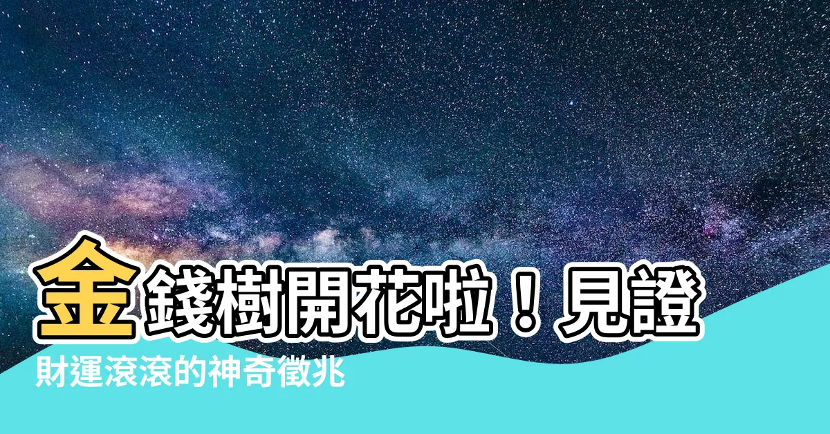 【金錢樹 開花】金錢樹開花啦！見證財運滾滾的神奇徵兆