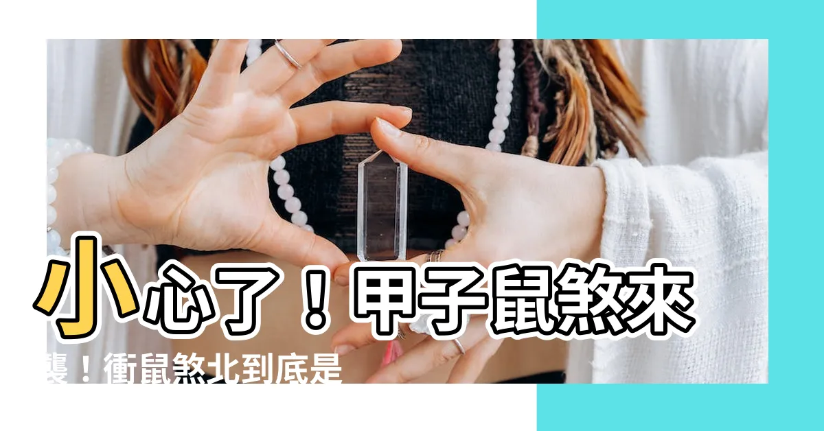 【沖鼠(甲子)煞北 意思】小心了！甲子鼠煞來襲！衝鼠煞北到底是啥意思？