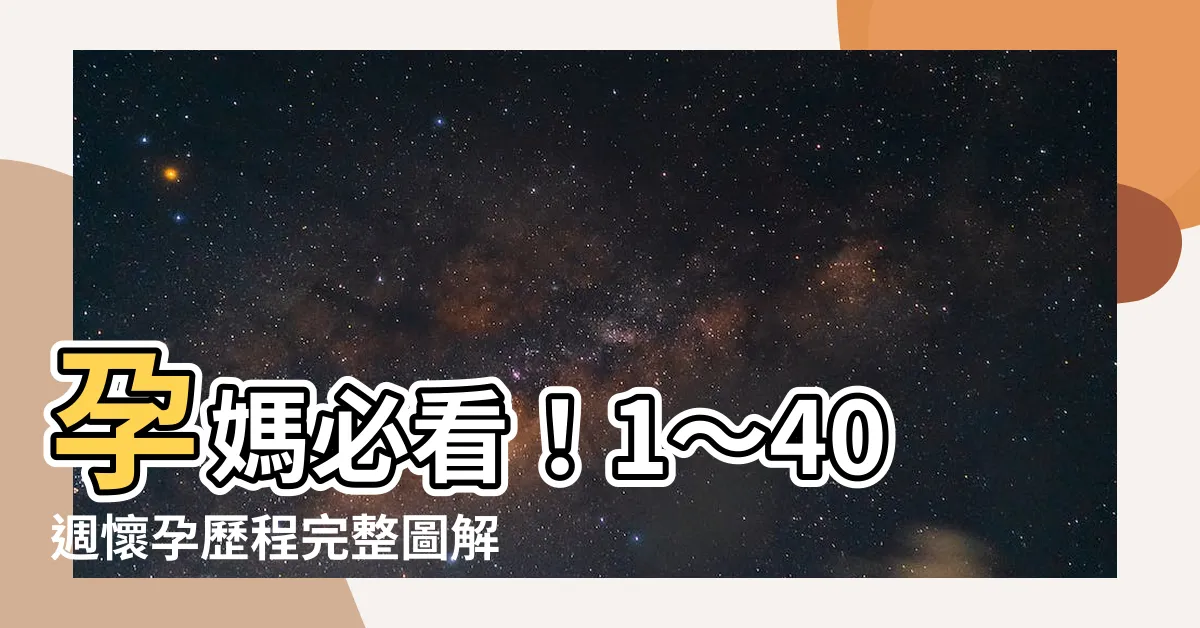 【懷孕過程】孕媽必看！1～40週懷孕歷程完整圖解，一次搞懂胎兒生長發育