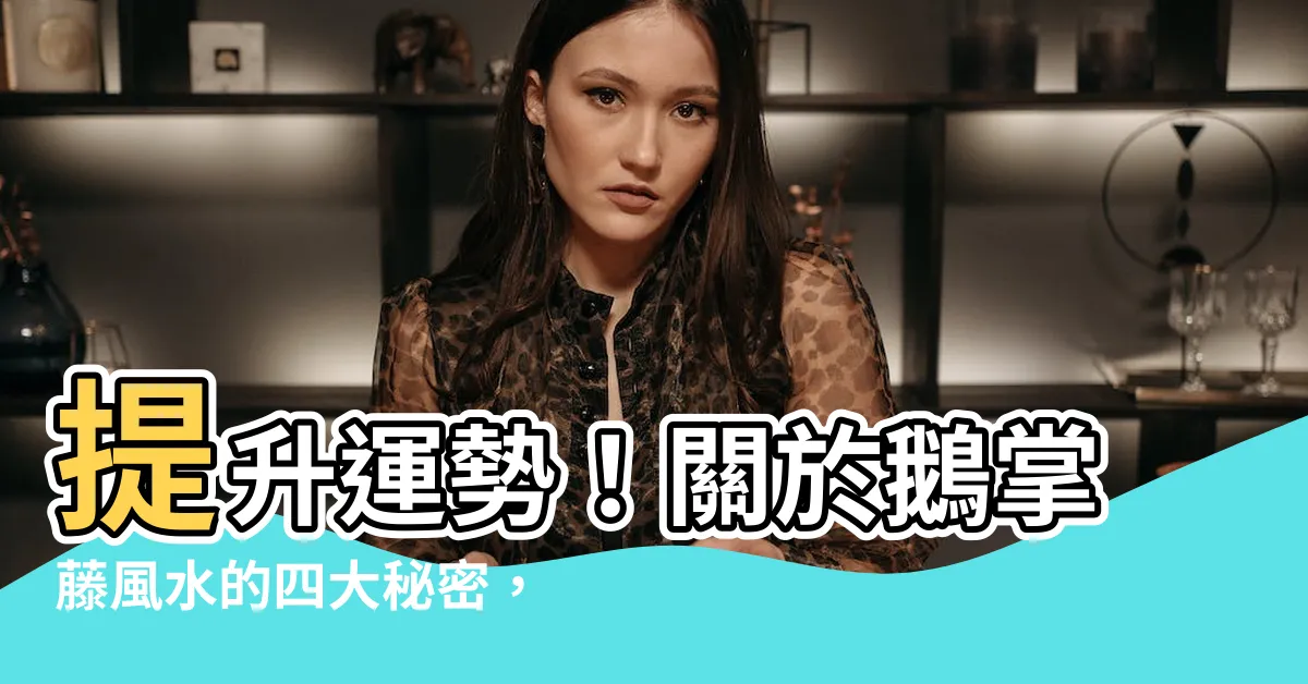 【鵝掌藤風水】提升運勢！關於鵝掌藤風水的四大秘密，你一定要知道