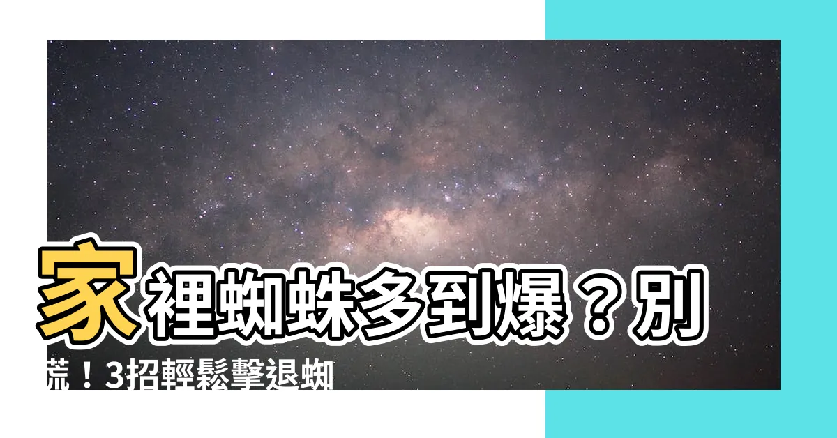 【家裡蜘蛛多】家裡蜘蛛多到爆？別慌！3招輕鬆擊退蜘蛛大軍