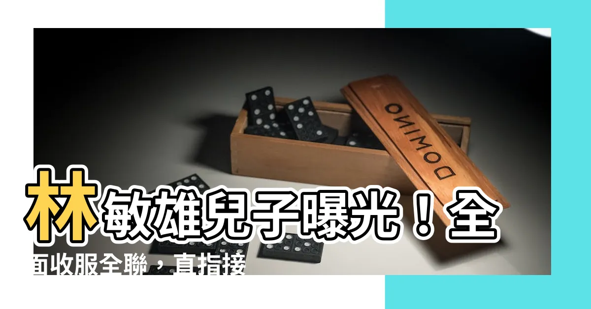 【林敏雄兒子】林敏雄兒子曝光！全面收服全聯，直指接班王位？
