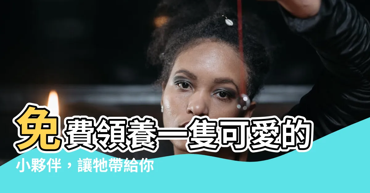 【免費領養幼貓】免費領養一隻可愛的小夥伴，讓牠帶給你滿滿的愛！