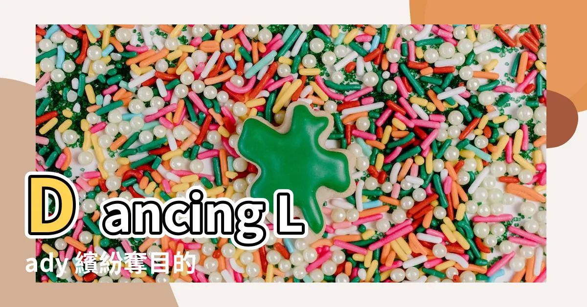 【文心蘭花束】Dancing Lady 繽紛奪目的文心蘭花束