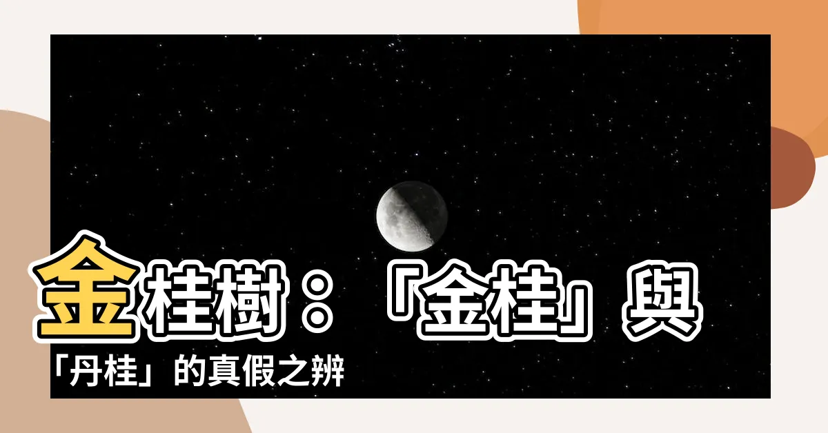 【金桂樹】金桂樹：「金桂」與「丹桂」的真假之辨，可不可食用？