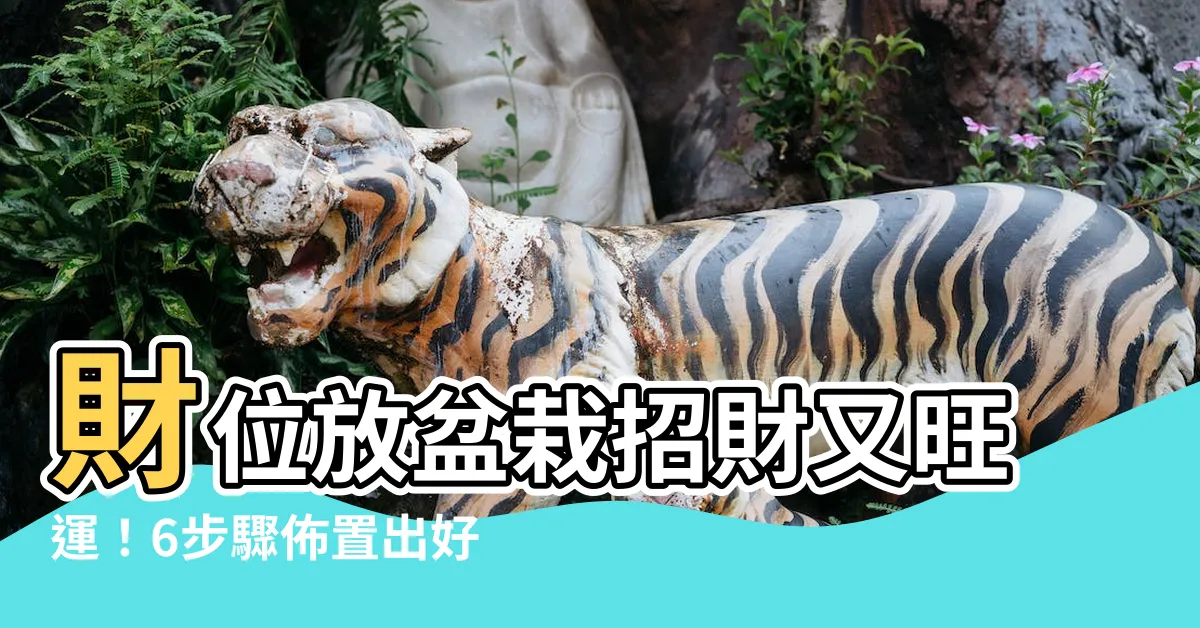 【財位放盆栽】財位放盆栽招財又旺運！6步驟佈置出好宅風水