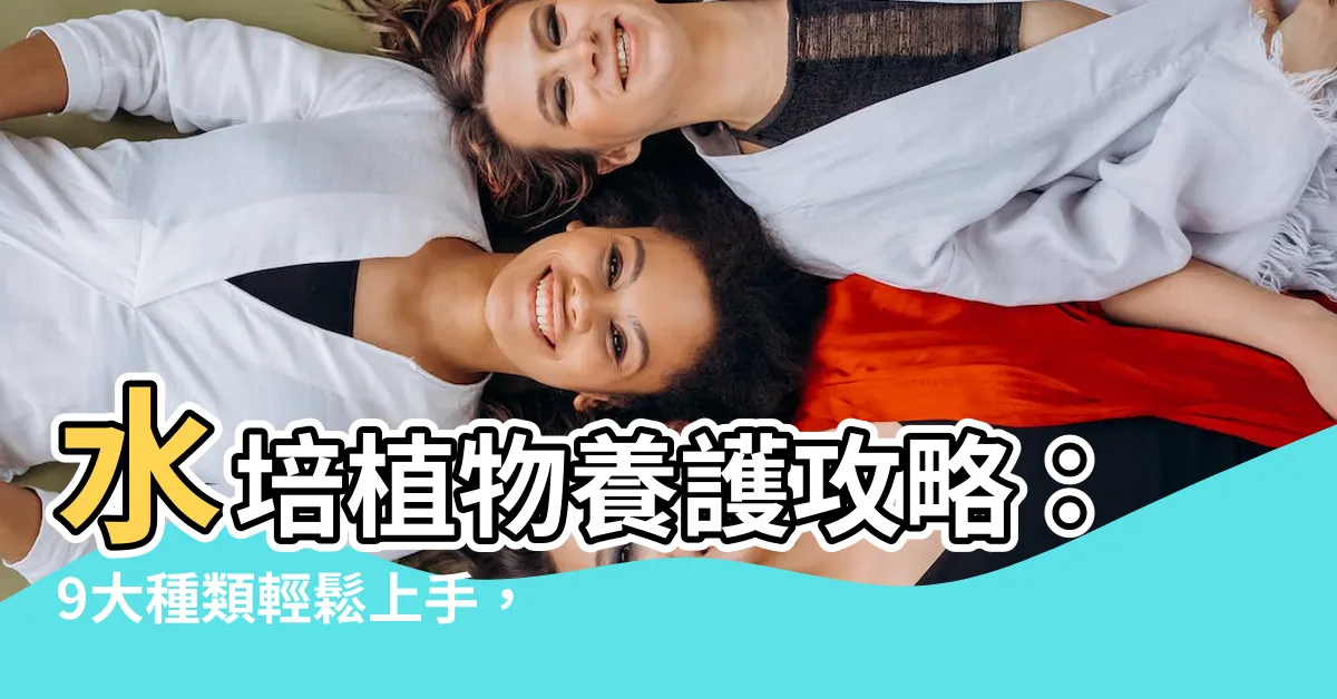 【水 培 植物】水培植物養護攻略：9大種類輕鬆上手，打造綠意盎然的家