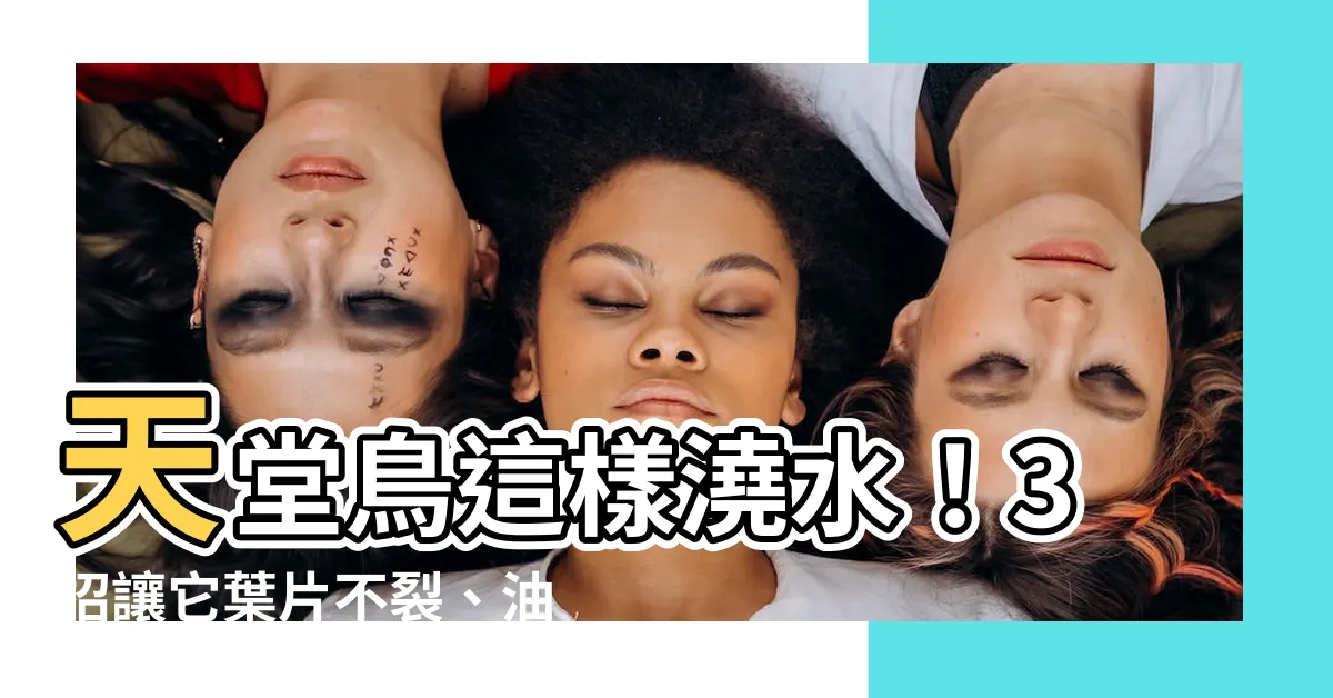【天堂鳥 澆水】天堂鳥這樣澆水！3招讓它葉片不裂、油亮亮，瘋狂竄高2公尺！