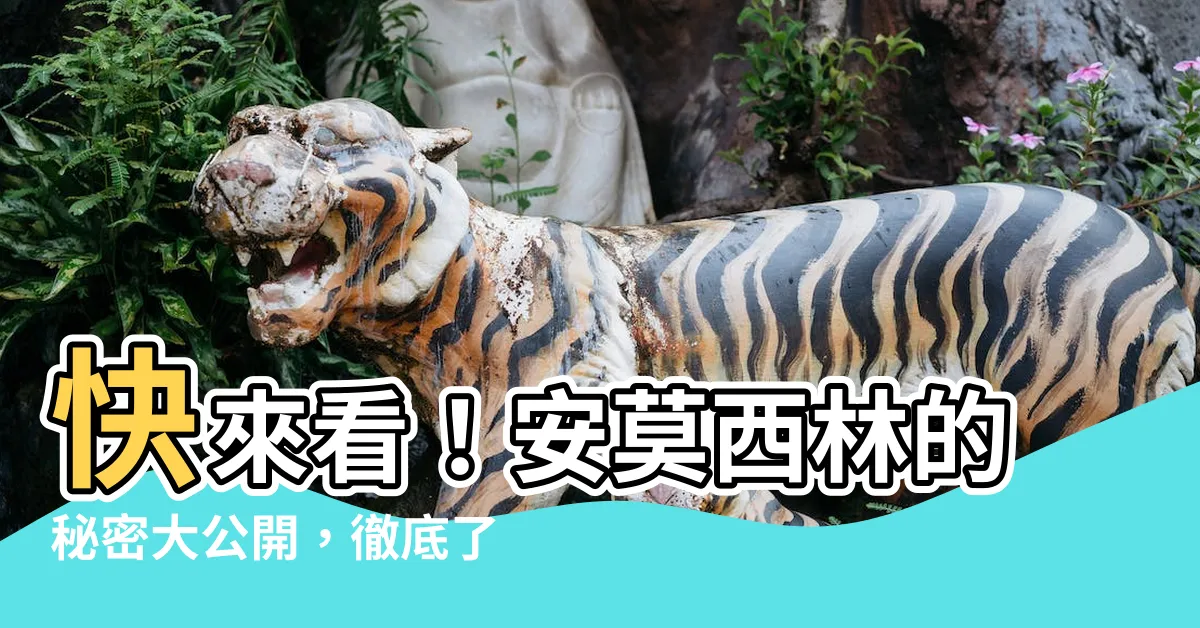 【安莫西林】快來看！安莫西林的秘密大公開，徹底瞭解它的作用與注意事項