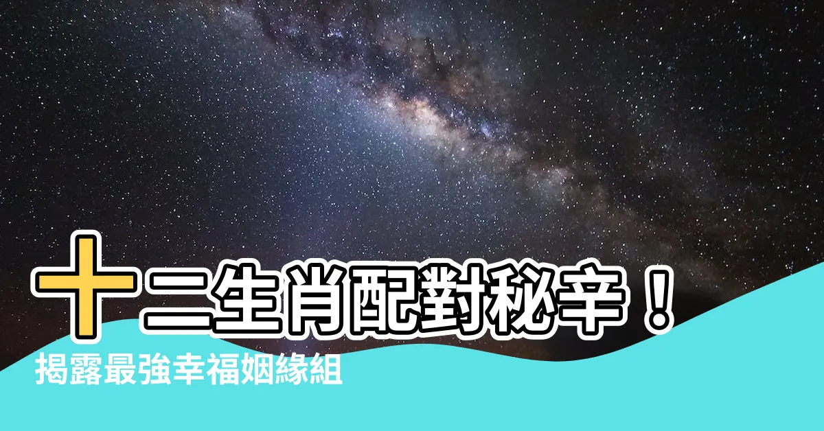 【十二生肖配對】十二生肖配對秘辛！揭露最強幸福姻緣組合