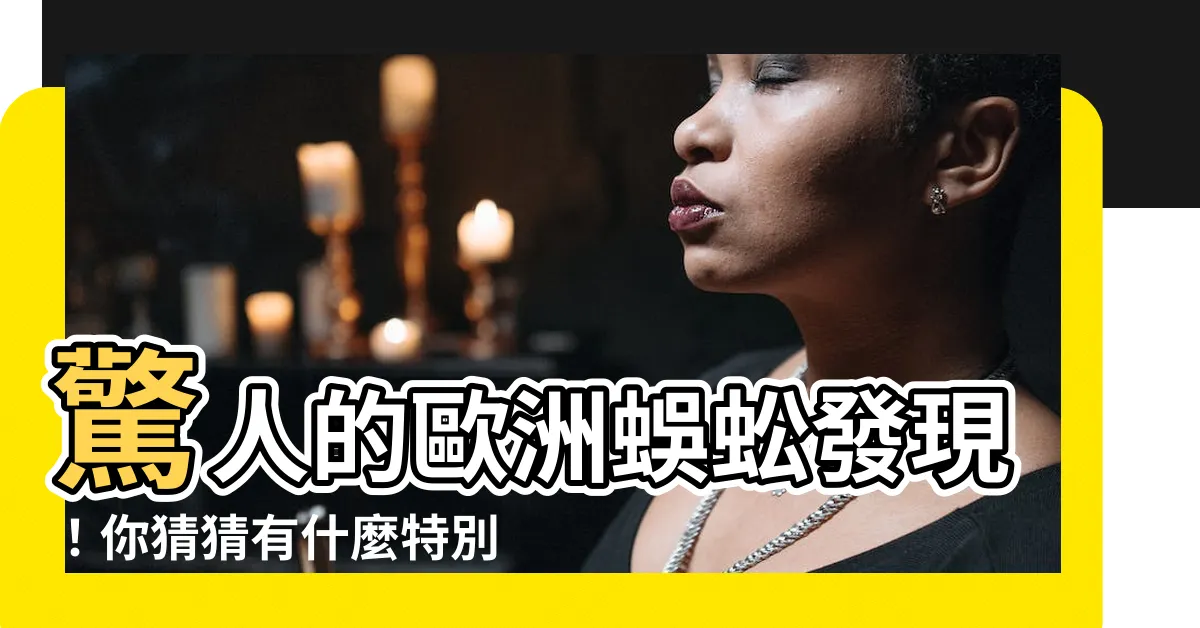 【歐洲蜈蚣】驚人的歐洲蜈蚣發現！你猜猜有什麼特別之處？