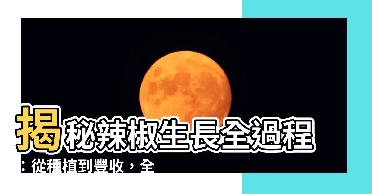 【辣椒生長過程】揭秘辣椒生長全過程：從種植到豐收，全方位養護指南！